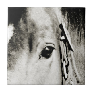 Carreau Photos de Cheval Eye