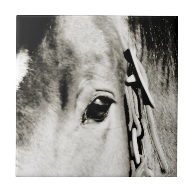 Carreau Photos de Cheval Eye (Devant)
