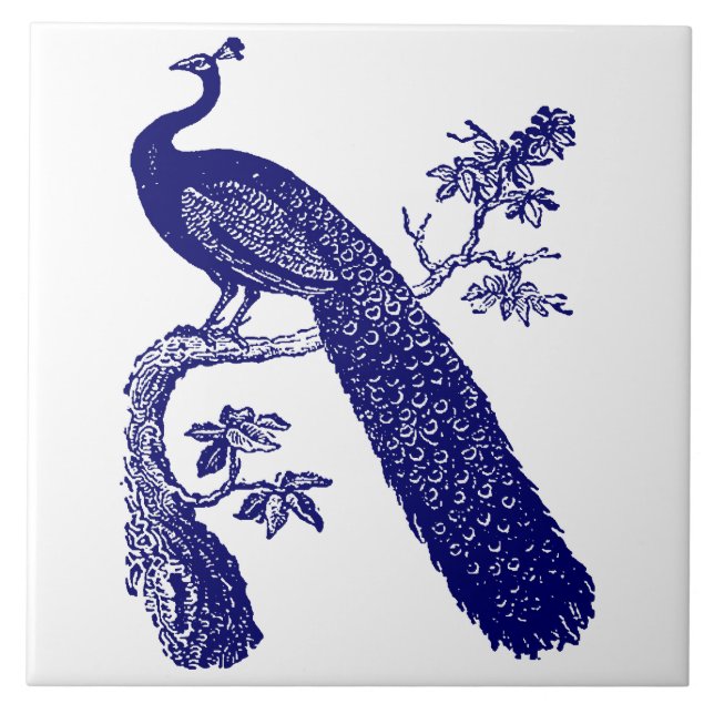 Carreau Pic bleu et blanc (Devant)