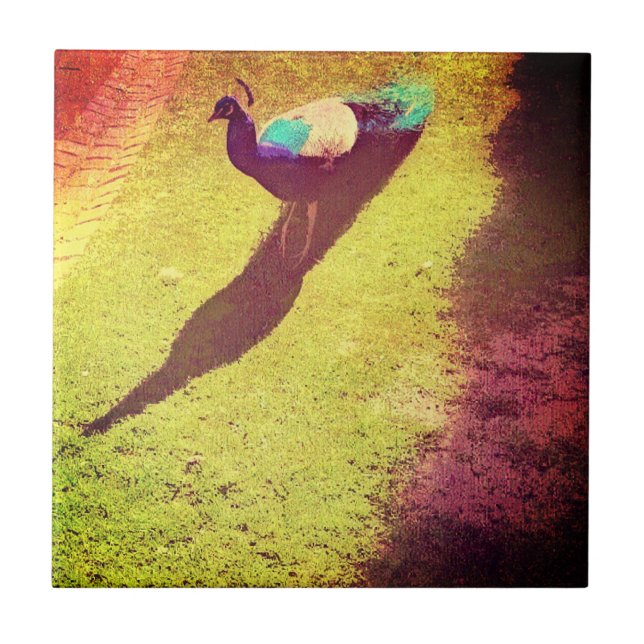 Carreau Pic vintage désorganisé sur gazon vert (Devant)