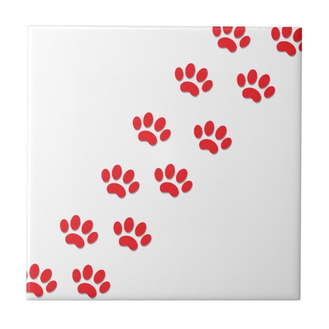 Carreau Pieds de pattes de chat (Devant)