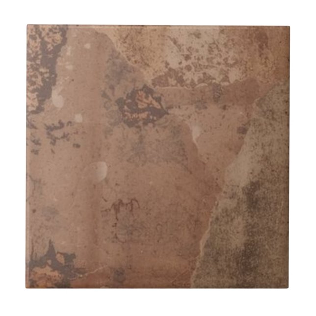 Carreau Pierre brune vintage rustique simple impression ru (Devant)