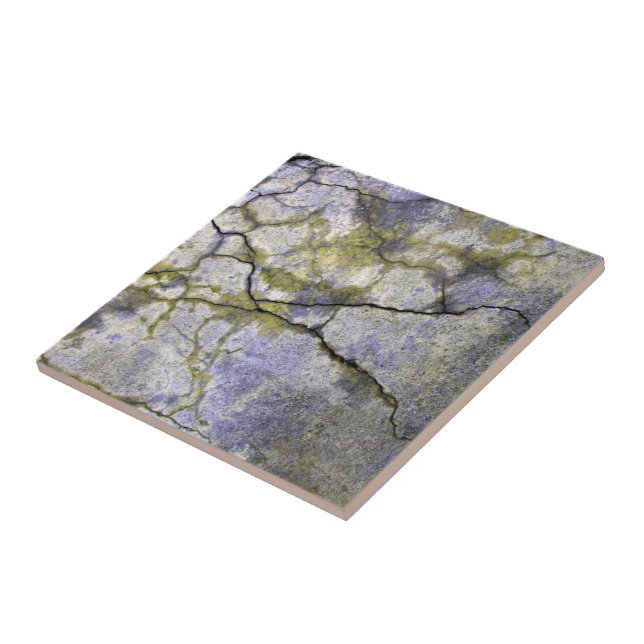Carreau Pierre Naturelle Fendue avec Texture de Lichen (Côté)