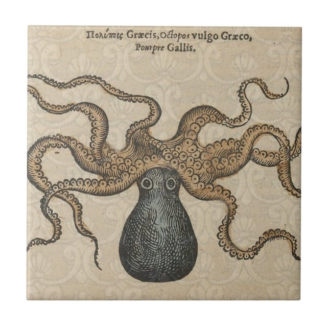 Carreau Pieuvre Kraken Antique Faune Marine Côtière (Devant)