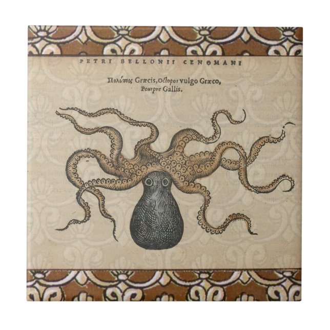 Carreau Pieuvre Kraken Antique Faune Marine Côtière (Devant)