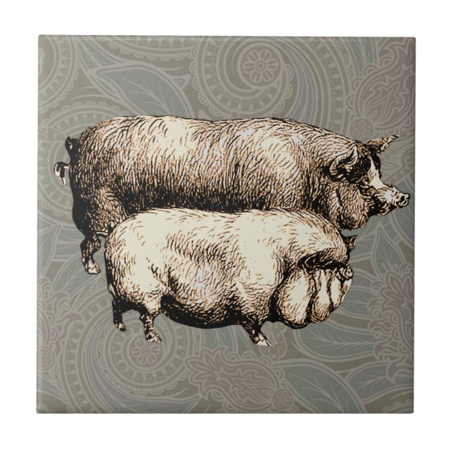 Carreau Pig Farm Pays Antique Illustration Art (Devant)