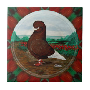 Carreau Pigeon à bec rouge Tumbler