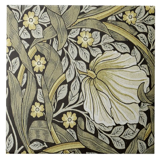 Carreau Pimpernel - En bas à droite  (Devant)