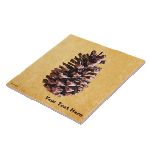 Carreau Pine Cône Sur Papier Vintage