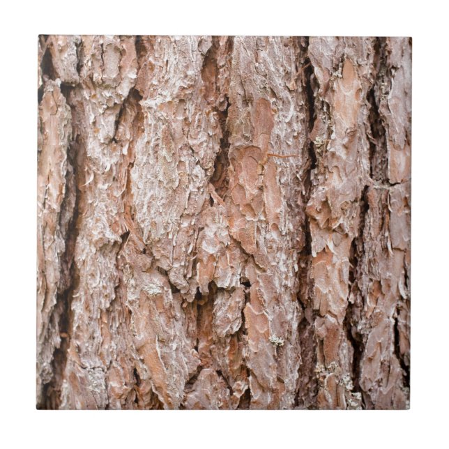 Carreau Pine tree bark (Devant)