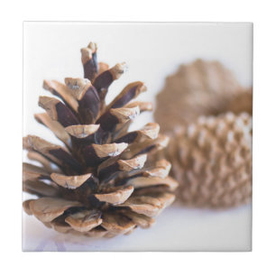 Carreau Pinecones