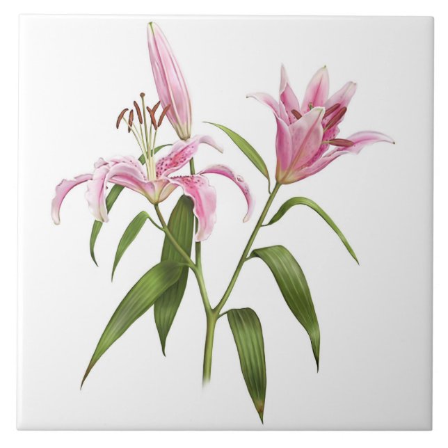 Carreau Pink Asiatic Stargazer Lily Botanique Art (Devant)