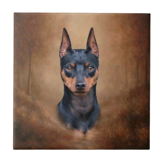 Carreau Pinscher miniature
