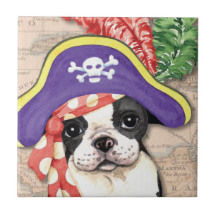 Carreau Pirate de Boston Terrier