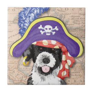 Carreau Pirate de PWD