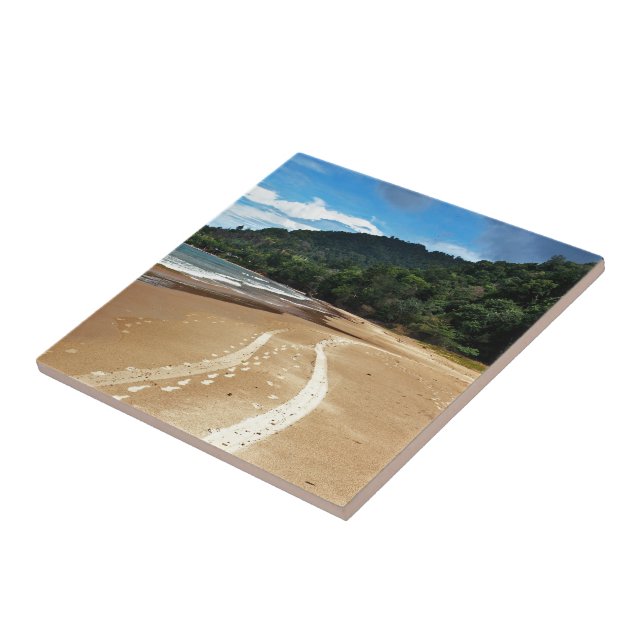 Carreau pistes de plage (Côté)