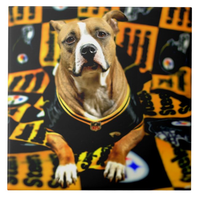 Carreau Pitbull Secourt Dog Football Fanatic (Devant)