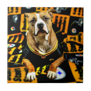 Carreau Pitbull Secourt Dog Football Fanatic