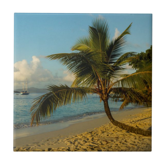 Carreau pittoresque de plage (Devant)