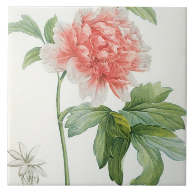 Carreau Pivoine, 1799 (copie de pointillé de couleur) (Devant)