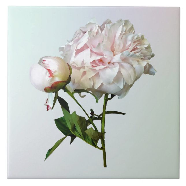Carreau Pivoine rose pâle et bourgeon (Devant)