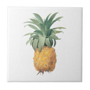 Carreau PixDezines Ananas vintage/arrière - plan do-it-you