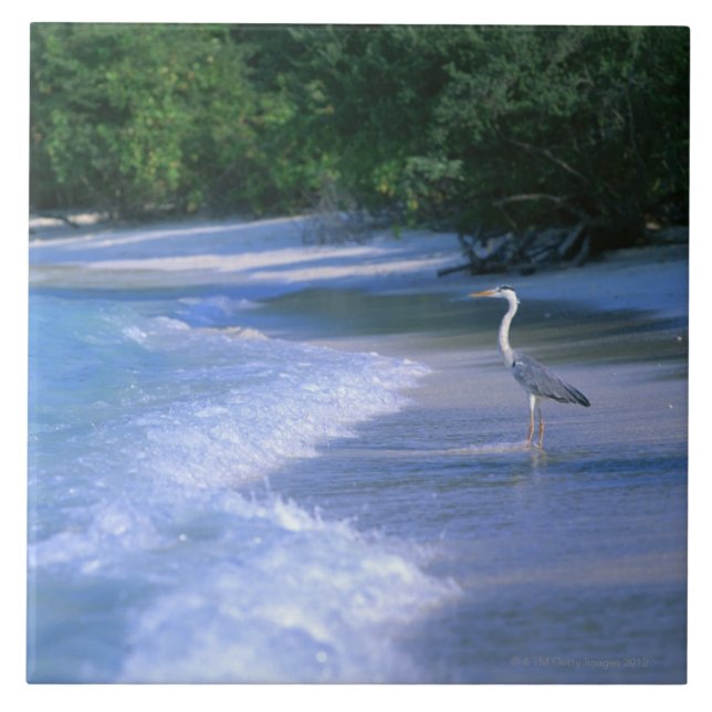 Carreau Plage 2 (Devant)