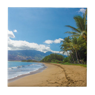 Carreau Plage à Hawaii
