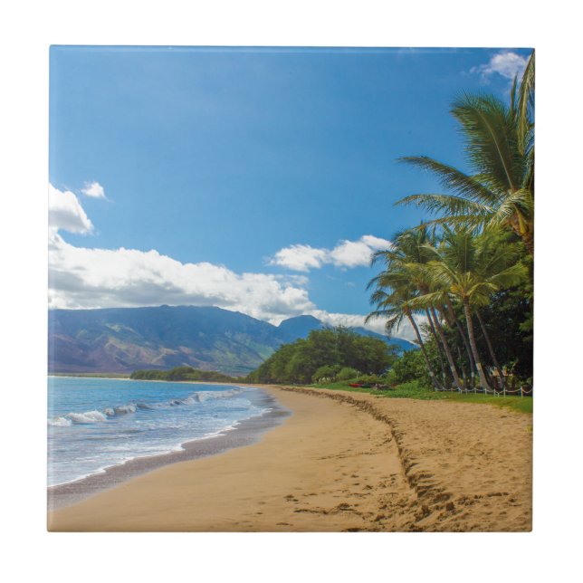Carreau Plage à Hawaii (Devant)