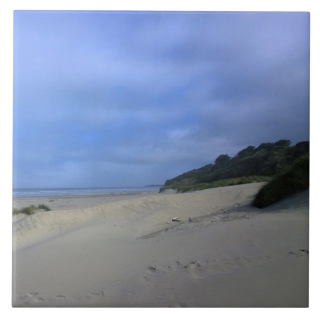 Carreau Plage à Yaquina Bay, Newport, OU (Devant)