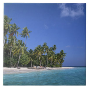 Carreau Plage avec palmiers, Maldives