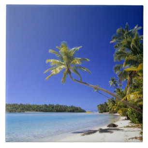 Carreau Plage bordée de palmiers Îles Cook