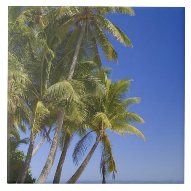 Carreau Plage bordée de palmiers Îles Cook 3 (Devant)