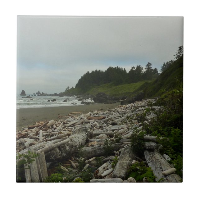 Carreau Plage cachée I du parc national de Redwood (Devant)