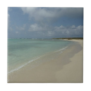 Carreau Plage d'Aruba II Magnifique paysage naturel