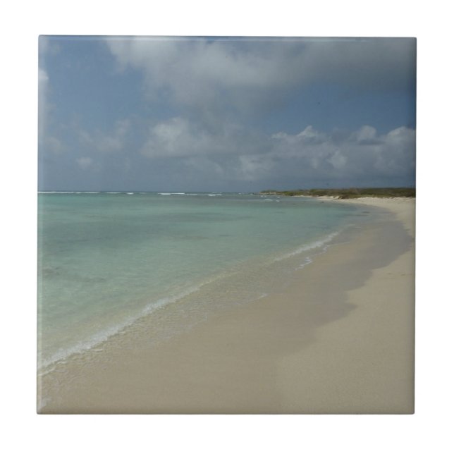 Carreau Plage d'Aruba II Magnifique paysage naturel (Devant)