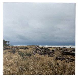 Carreau Plage de Benson, Cape Disappointment, WA