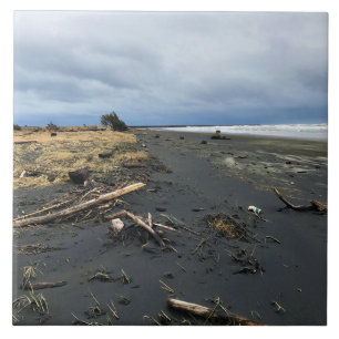 Carreau Plage de Benson, Cape Disappointment, WA