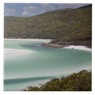 Carreau Plage de Whitehaven, Hill Inlet, Tounge Point,