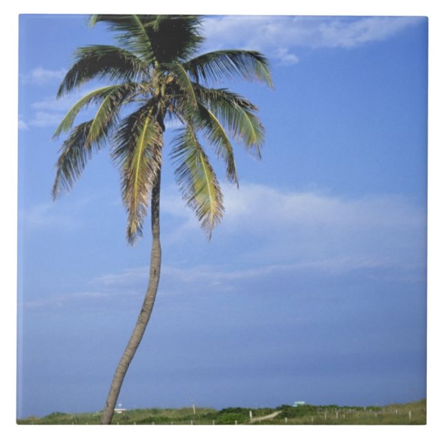 Carreau Plage du sud, Miami Beach, la Floride, Etats-Unis (Devant)