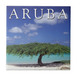 Carreau Plage Eagle   Caraïbes, Aruba