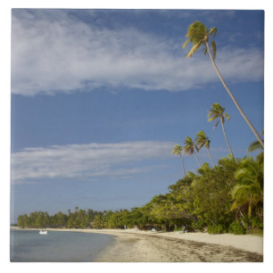 Carreau Plage et palmiers, Plantation Island Resort