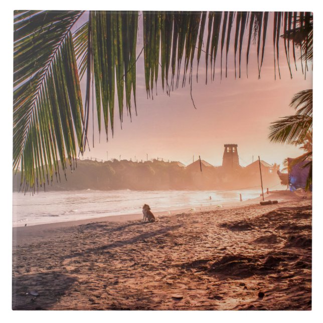 Carreau Plage Palm Tree Calme coucher de soleil (Devant)