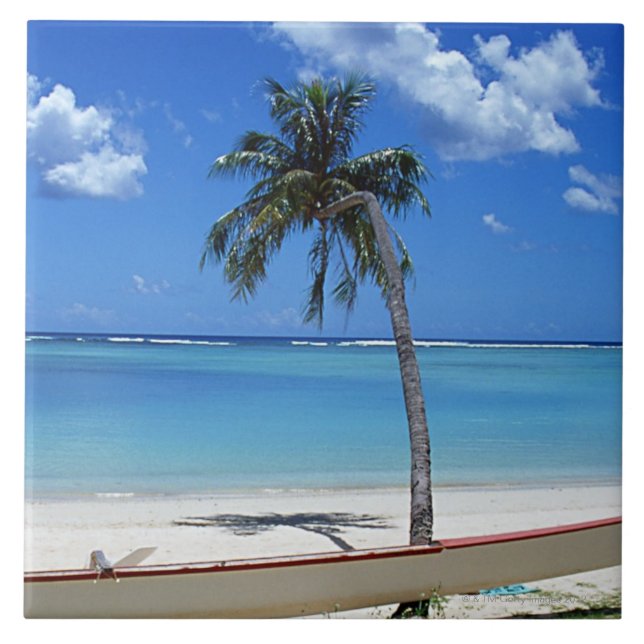 Carreau Plage sablonneuse 5 (Devant)
