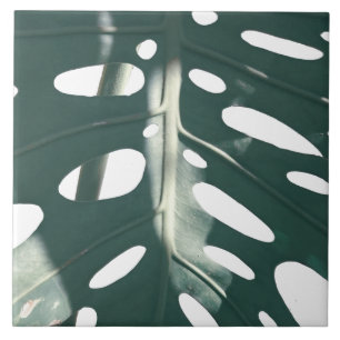 Carreau Plante de fromage suisse vert pâle funky