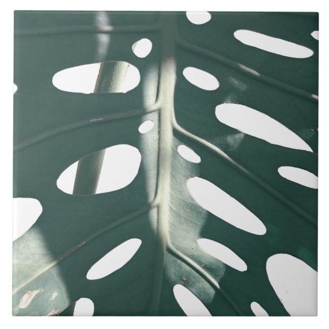 Carreau Plante de fromage suisse vert pâle funky (Devant)