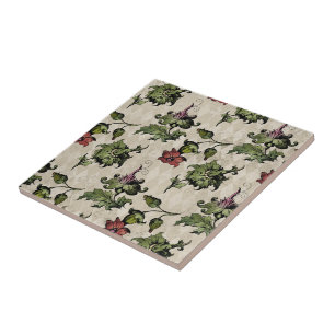 Carreau Plante de sorcière apothecaire   Herbes botaniques