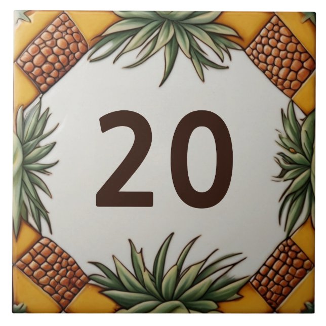 Carreau Plante du désert d'ananas Numéro de la maison Plaq (Devant)