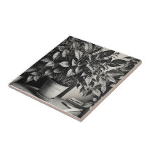 Plante en niveaux de gris avec d'énormes feuilles