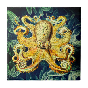 Carreau Plantes sous-marins Rétro Octopus et Froid - Cool